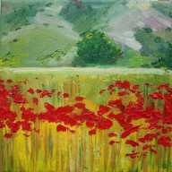 "Poppies"
