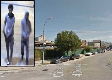 Two men in Long Island City pushed a woman to the ground before stealing her purse.