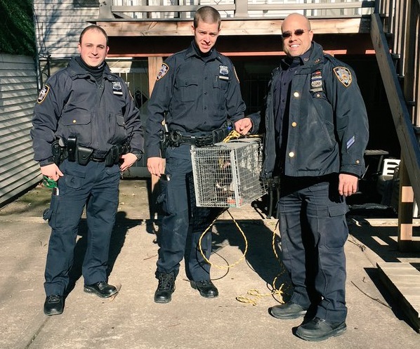 Three officers rescued a cat stuck on an Astoria rooftop for days.