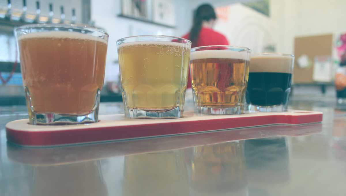 rockaway brewing