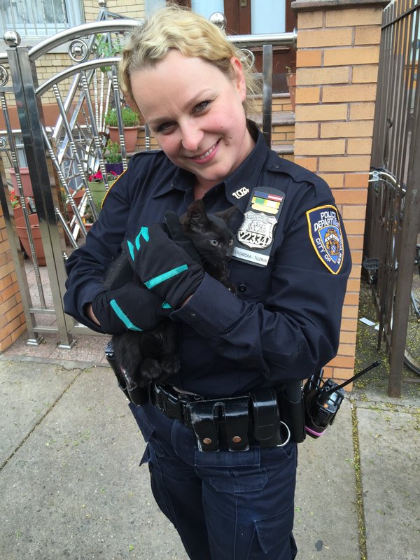 Cat rescue 1