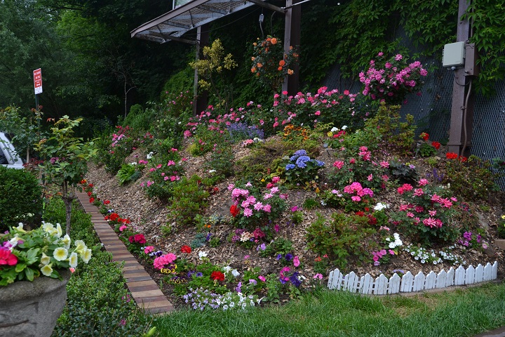 Ridgewood corner garden web