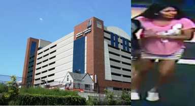 jamaica hospital