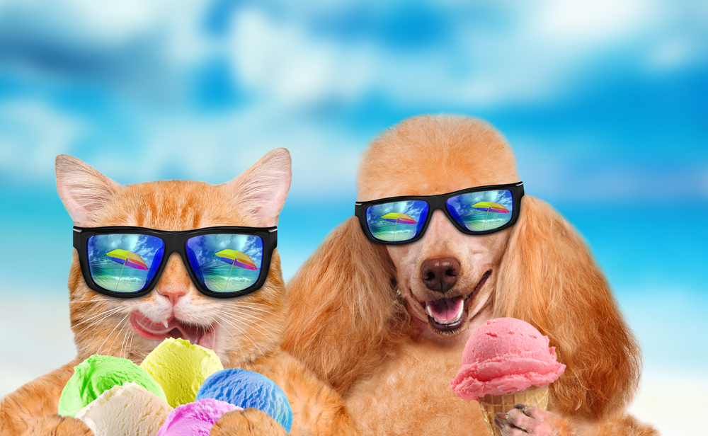shutterstock_427319869