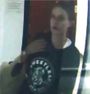 80-year-old-woman’s purse stolen at LIC Art Center