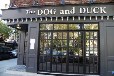 DOG AND DUCK