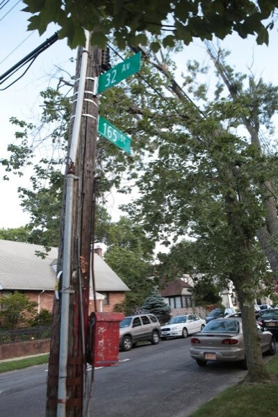 City explores bioswales to reduce flooding in Murray Hill