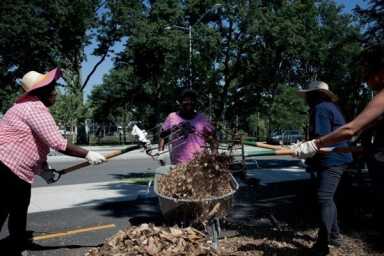 LIJ nurses clean up Springfield Gardens park