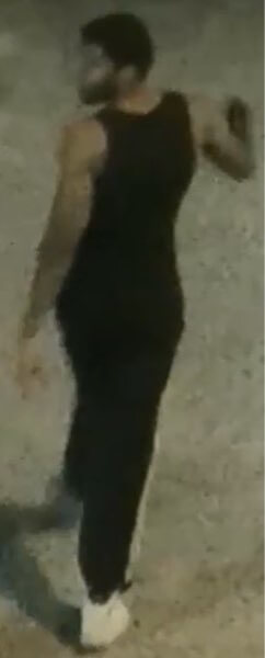 Two men stage several Flushing muggings