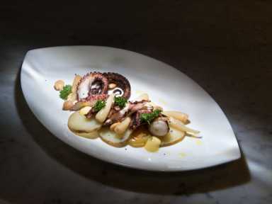 OroOctopus