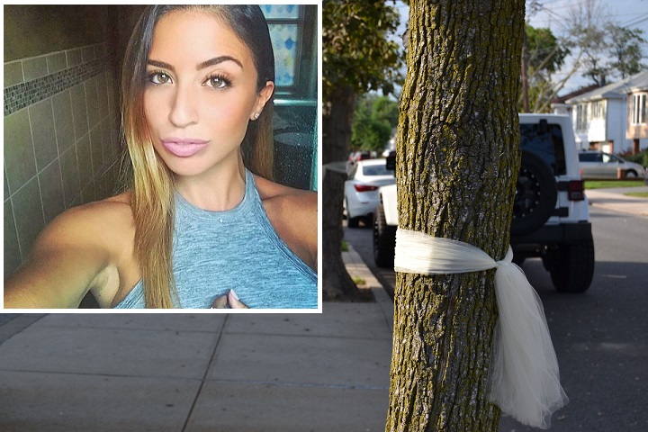 Security camera footage released by Crime Watch Daily on Monday shows the last few moments of Karina Vetrano's life.