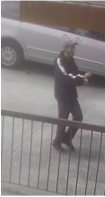 Cops search for suspected necklace snatcher in Woodside