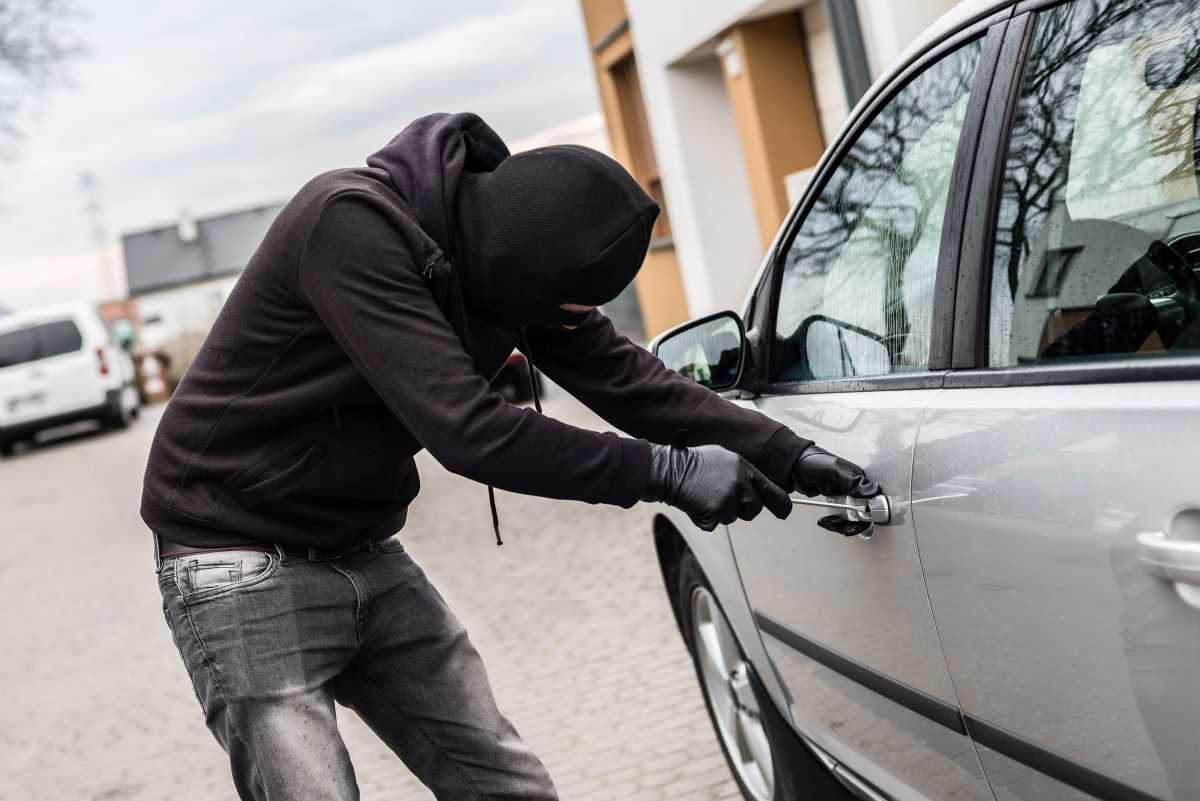 car-thief-2