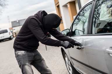 car-thief-2