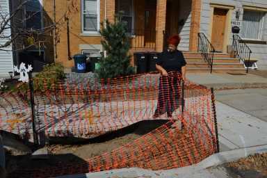 maspeth-bioswale-web