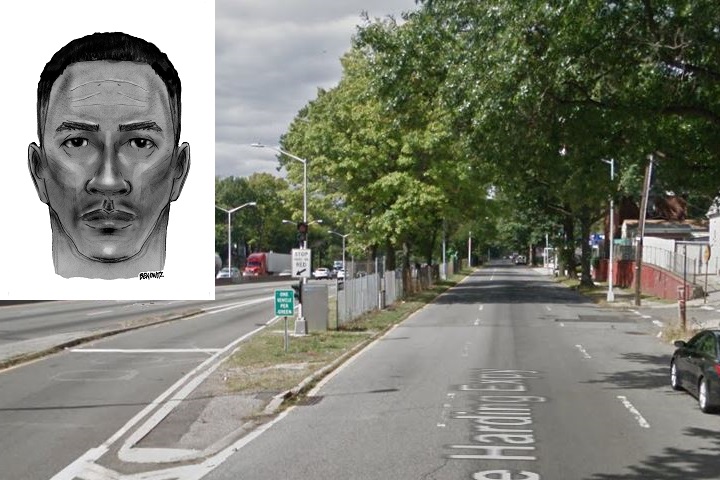 A sketch of the suspect who sexually assaulted a 51-year-old woman at the corner of 168th Street and Horace Harding Expressway in Fresh Meadows on Sunday morning.