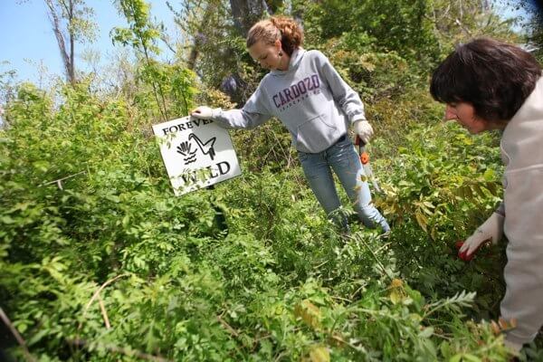 Tax lien deal could decide status of land in Udalls Cove