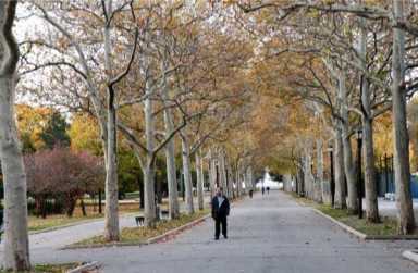 Three concert promoters again denied use of Flushing Meadows
