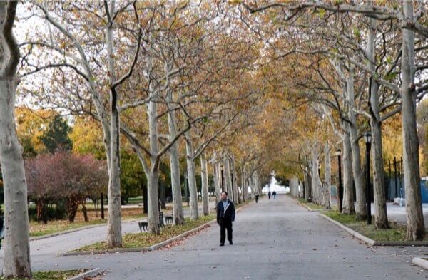 Three concert promoters again denied use of Flushing Meadows