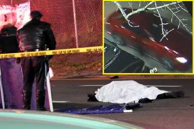 A red Ford Mustang was believed to have been involved in a deadly hit-and-run on South Conduit Avenue on Jan. 1.