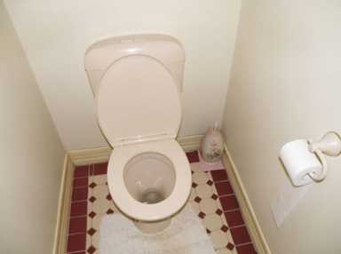 Queens Chamber says ban on flushable wipes could hurt business