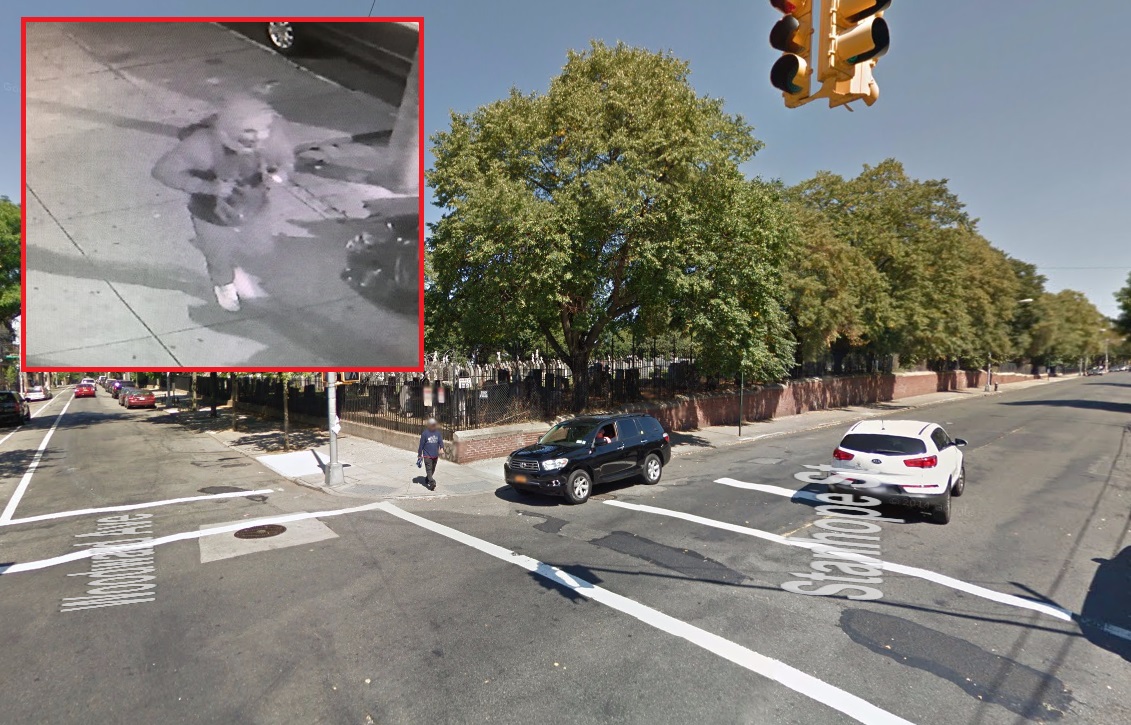 robbery pattern in ridgewood and brooklyn