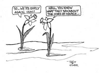Cartoon