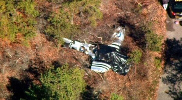 Kew Gardens animal rights lawyer survives deadly plane crash