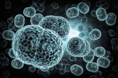 A 3D microscope close-up of meningitis bacteria, also known as meningococcus.