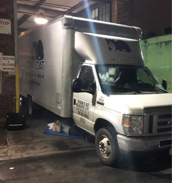 Four arrested as Tom Cat releases immigrant workers