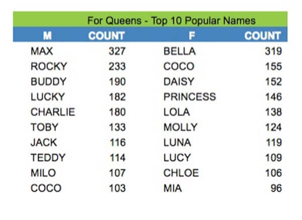 The most popular dog names in Queens