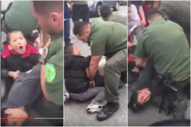 Violent arrest of woman at Flushing Meadows Corona Park sparks outrage
