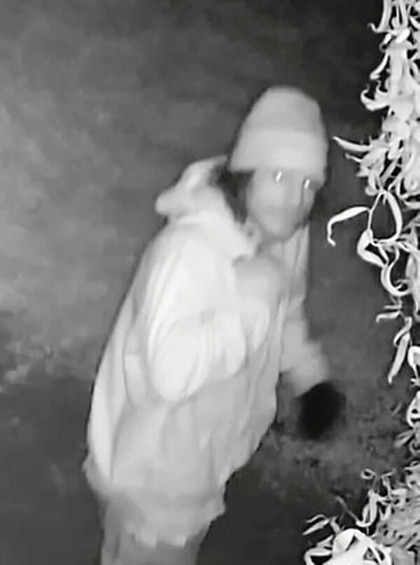 Man steals cash, cell phones and laptops from Jax Hgts electronic store: Cops
