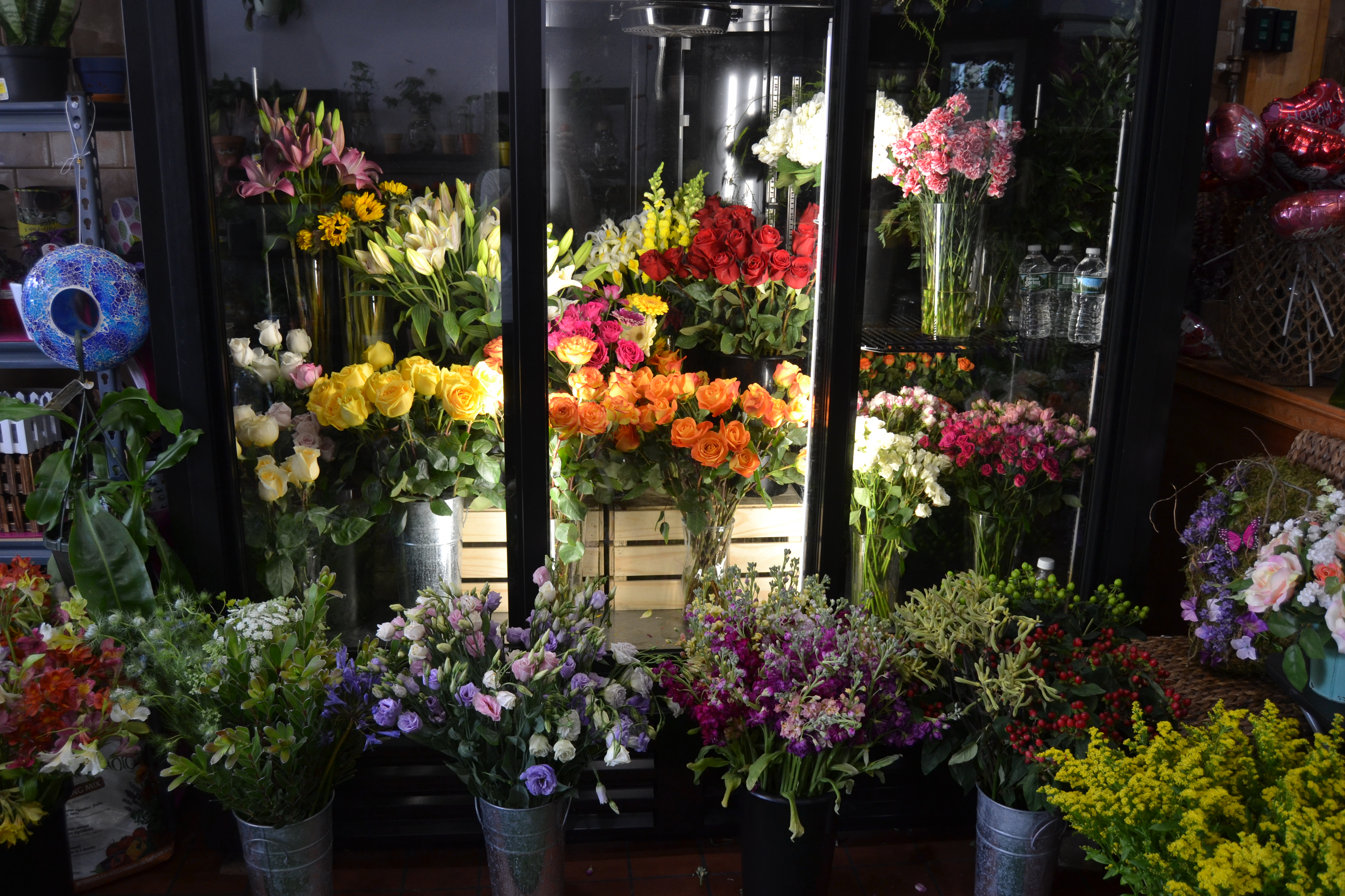 What You Can Expect at a Flower Shop? - Apocalyptica