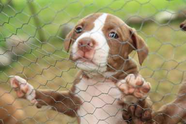shutterstock_364896992