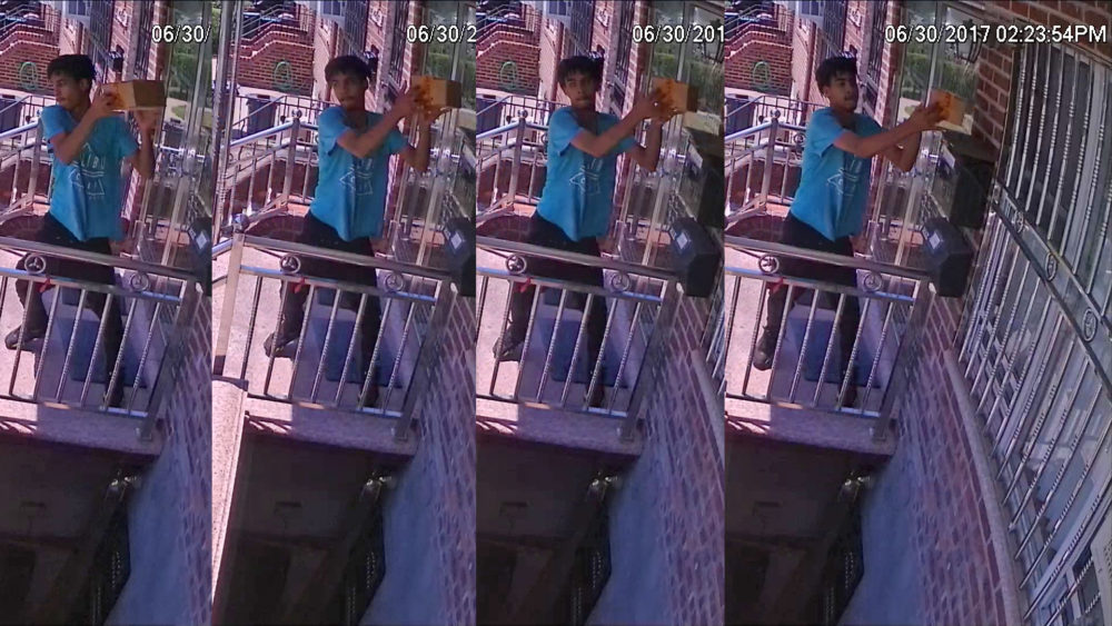 Multiple pics of perp