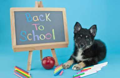 Back To School!