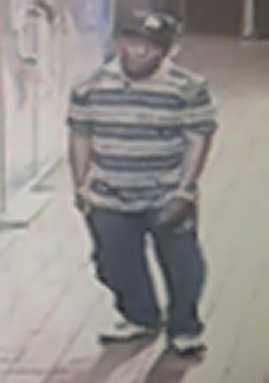 Police hunt for suspect in connection with Forest Hills burglary