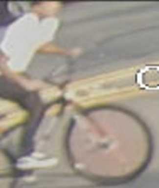 Bicycle thief