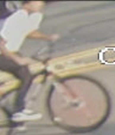Bicycle thief