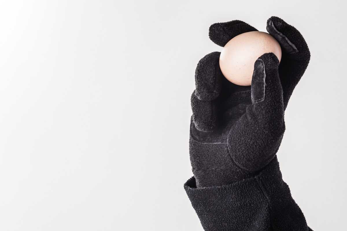 EGGS