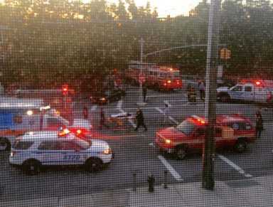 The aftermath of Sam's orchestrated June 2015 Flushing robbery, which ended with car chase and crash into a Whitestone house.