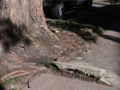 Avella fields suggestions for city’s sidewalk repair program