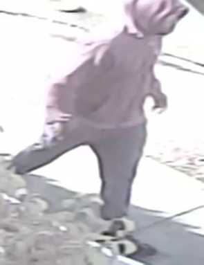 Police seek ID of suspect in Springfield Gardens murder