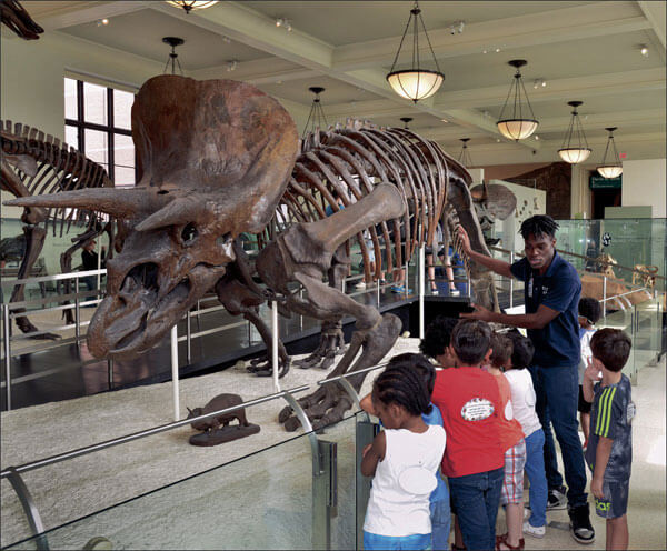 St. Albans teen nabs coveted internship at American Museum of Natural History