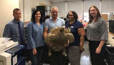 tortoise found 2
