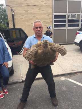 Police arrest East Elmhurst man in connection to Millennium theft
