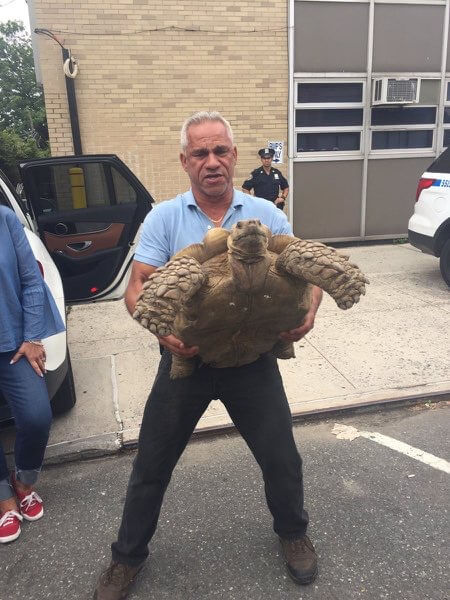 Police arrest East Elmhurst man in connection to Millennium theft