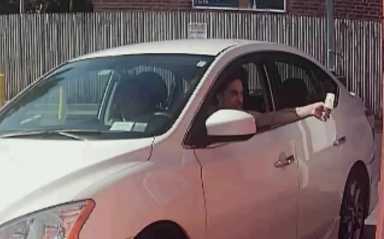 115 grand larceny
