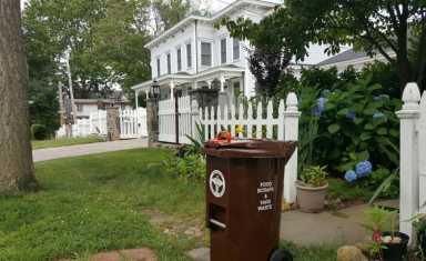 brown bins